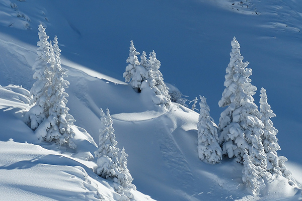 Winterlandschaft