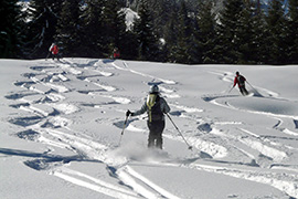 Tiefschneefahren